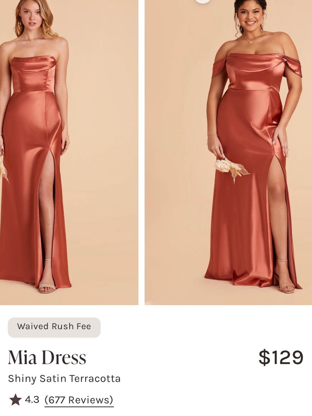 Birdy Grey Off the Shoulder Satin Gown in Terracotta